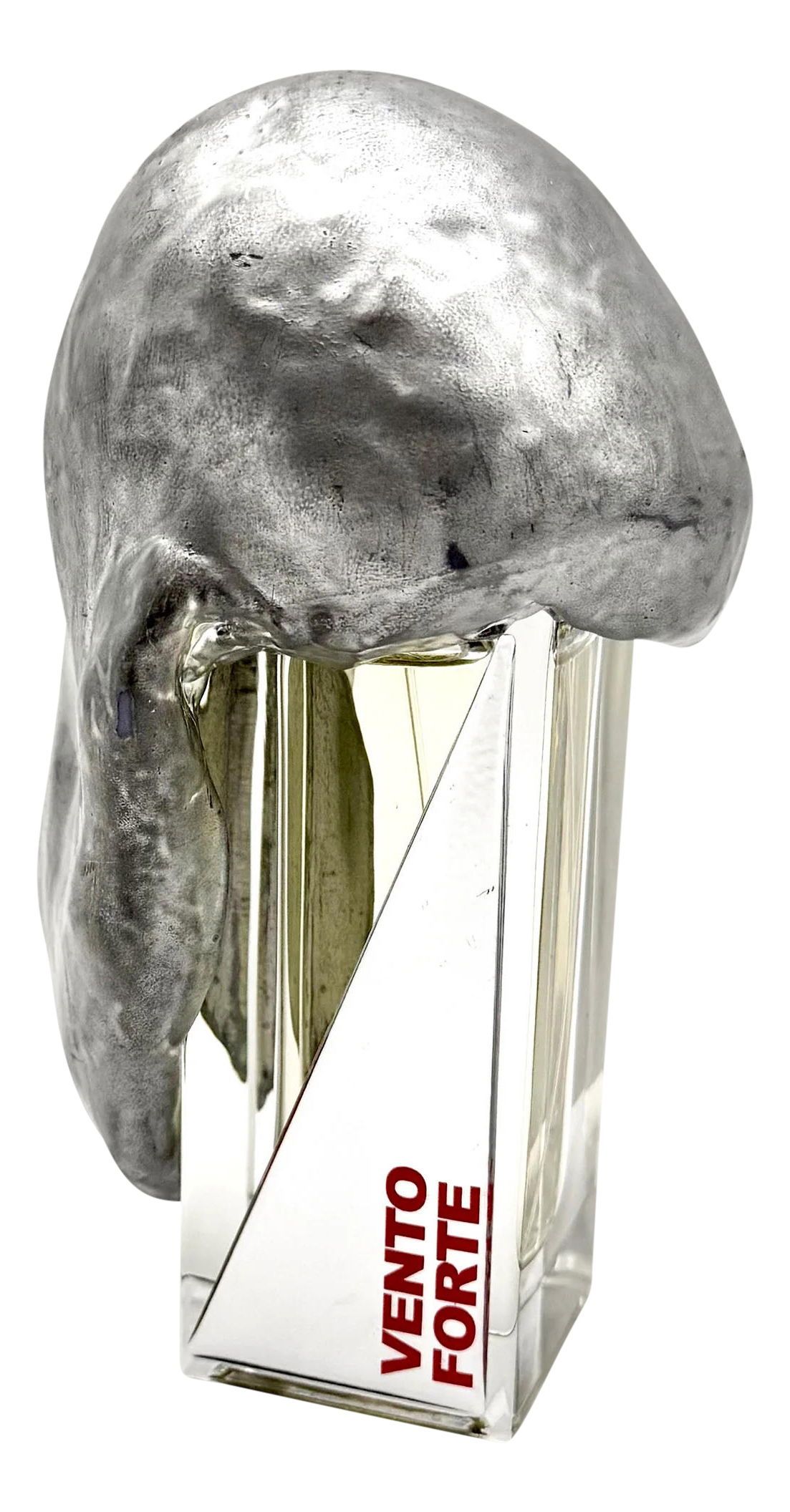 Купити Filippo Sorcinelli Vento Forte Парфуми на Elune.com.ua