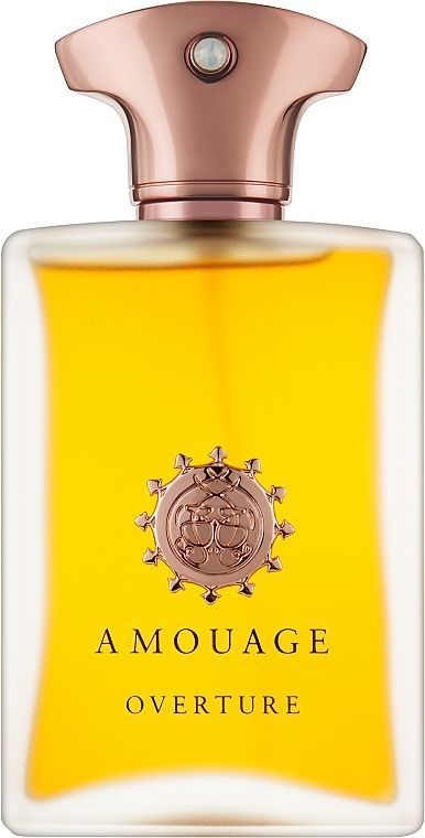 Купити Amouage Overture Man Парфумована вода на Elune.com.ua