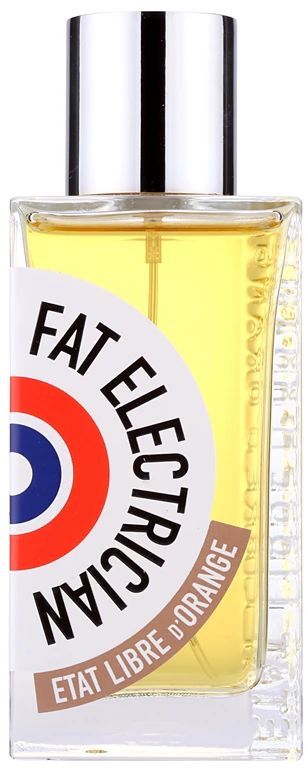 Купити Fat Electrician Semi-modern Vetiver Парфумована вода на Elune.com.ua