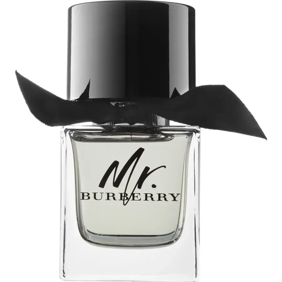 Burberry Mr. Burberry - Elune.com.ua