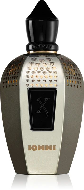 Купити Xerjoff Tony Iommi Monkey Special Парфумована вода на Elune.com.ua