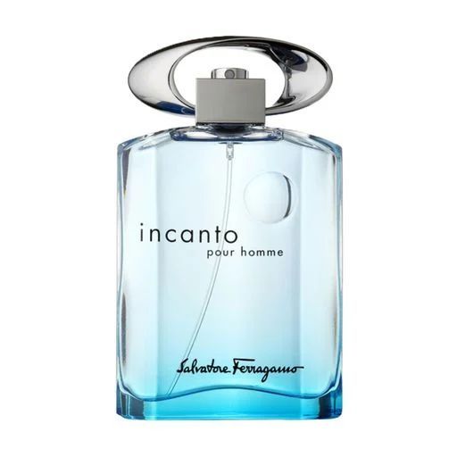 Купити Incanto Blue Pour Homme Туалетна вода на Elune.com.ua