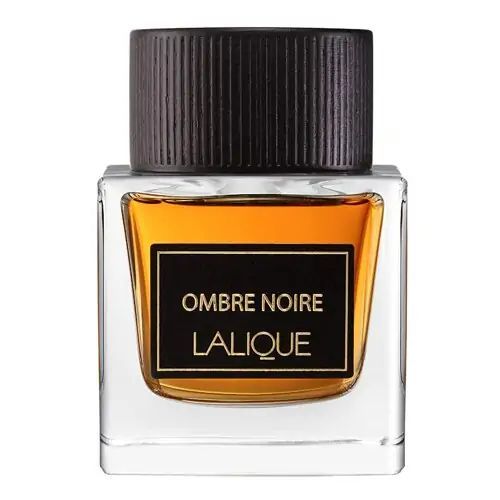 Купити Ombre Noir Парфумована вода на Elune.com.ua